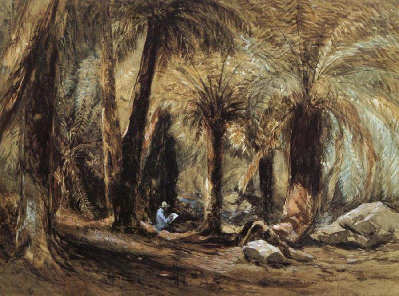 John Skinner Prout Fern Tree Gully,Mount Wellington France oil painting art